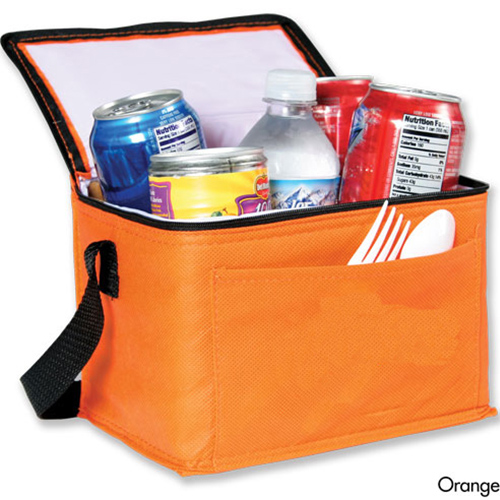 Outdoor Fitness Nonwoven 6 Can Cooler
