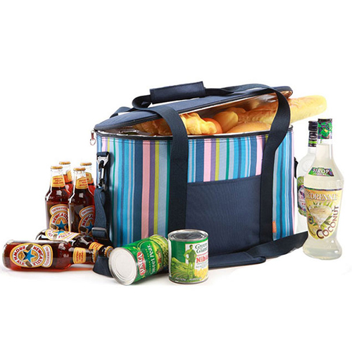 Family portable thermal lined cooler bag
